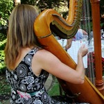 Musician at Wedding